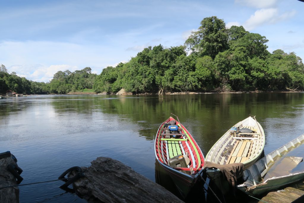 Heart of Borneo – Bukit Raya – Guesthouse & Tours